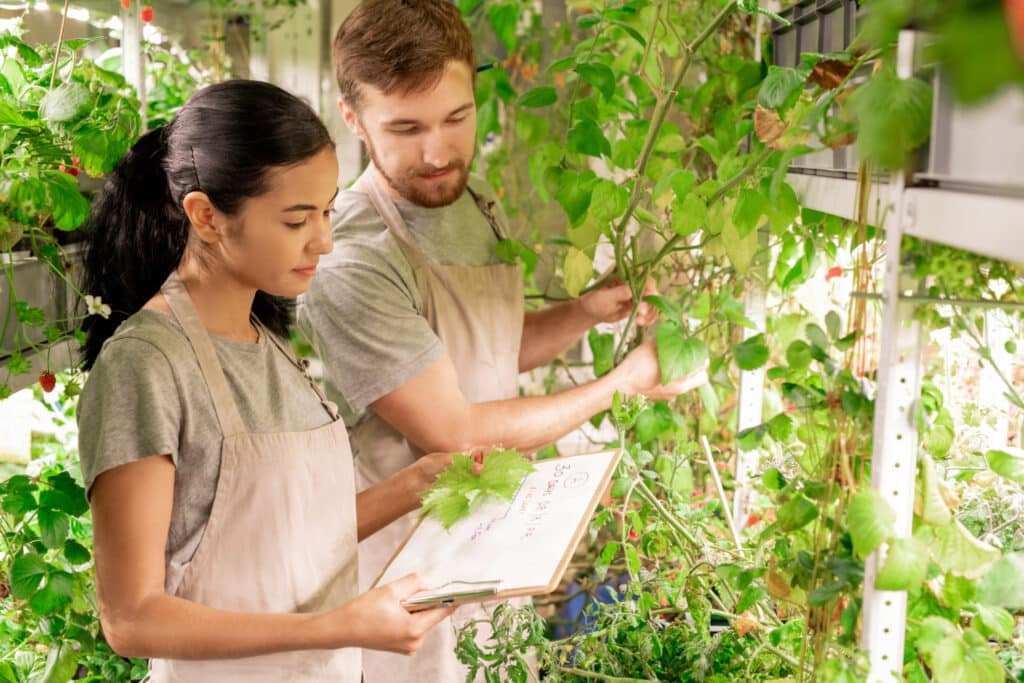 Choisir les meilleures espèces de haies vivantes pour votre jardin